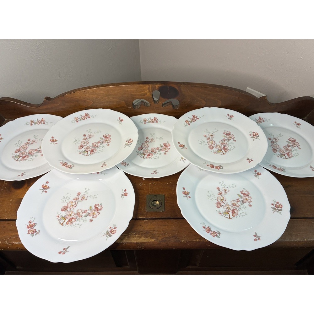 Arcopal Arc France Milk Glass 10 Inch Dinner Plates Florentine Cherry Blossom 7